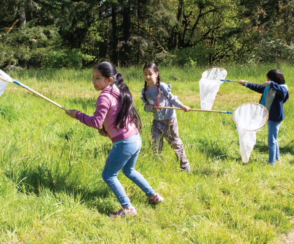 McMinnville students catching insects on a science experience.